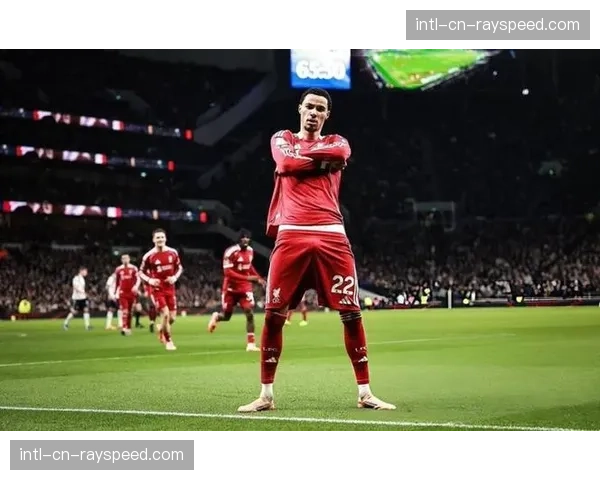 利物浦前锋埃基蒂克欧冠重伤离场，确诊跟腱断裂将错过2026年世界杯
